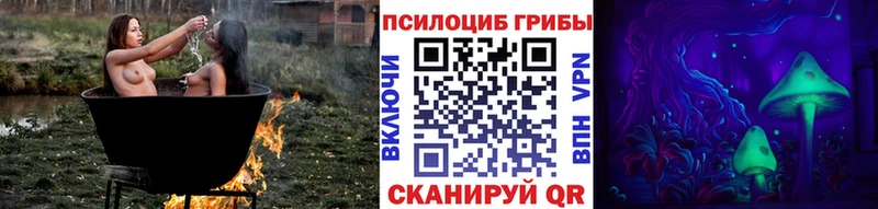 Псилоцибиновые грибы мицелий  Кремёнки 